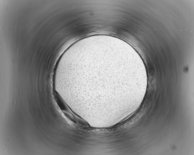 X0000098230906200805221708