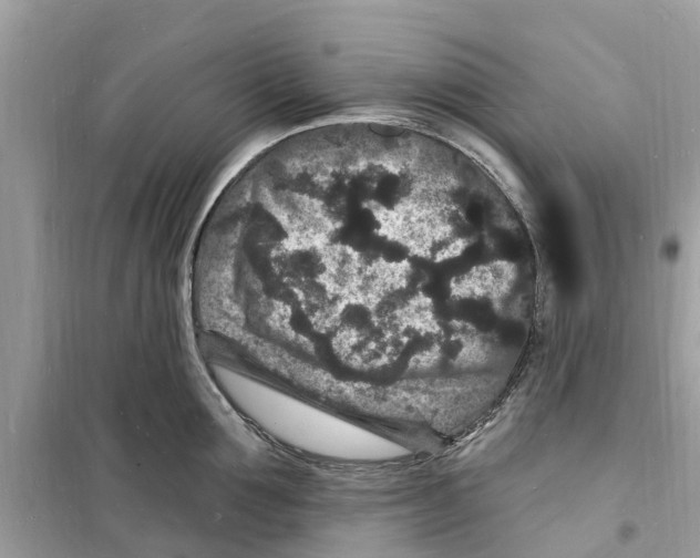 X0000098230907200805221708