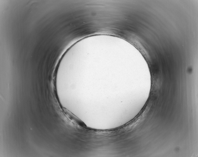 X0000098230908200805221708