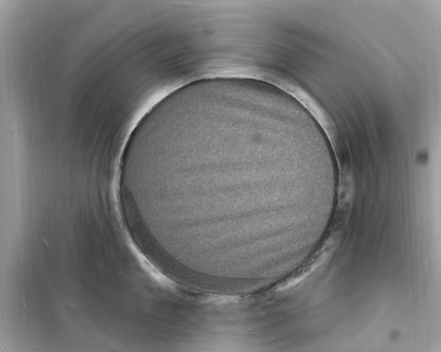 X0000098230909200805221708