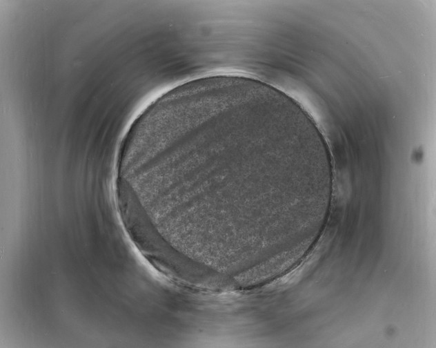 X0000098230910200805221708