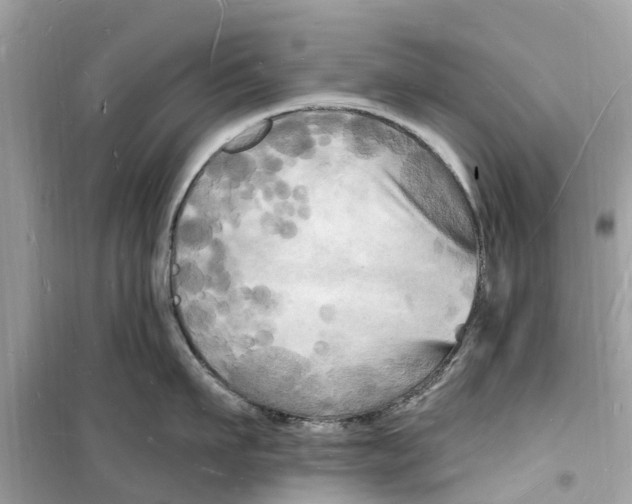 X0000098230911200805221708