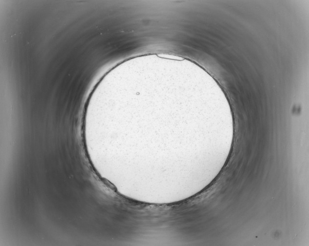 X0000098230912200805221708