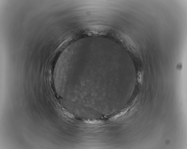 X0000098230915200805221707