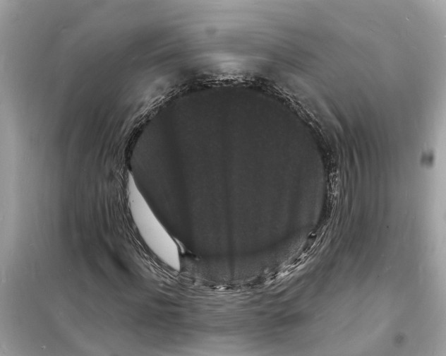 X0000098230916200805221707