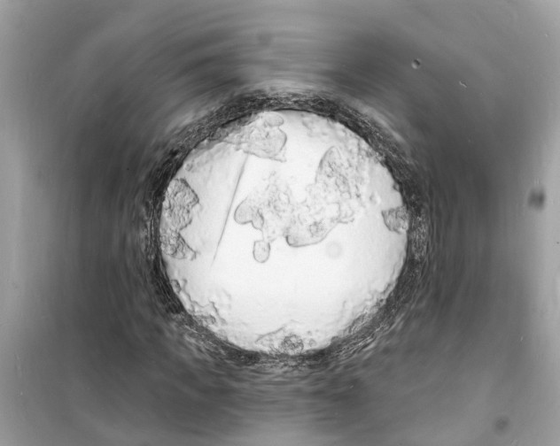 X0000098230917200805221707