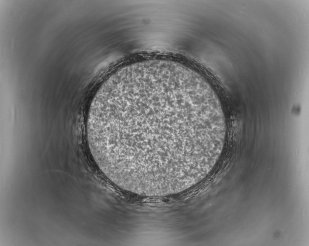 X0000098230918200805221707