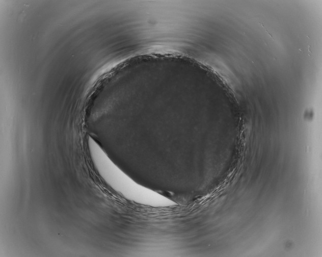 X0000098230920200805221707