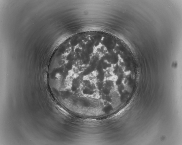 X0000098230921200805221707