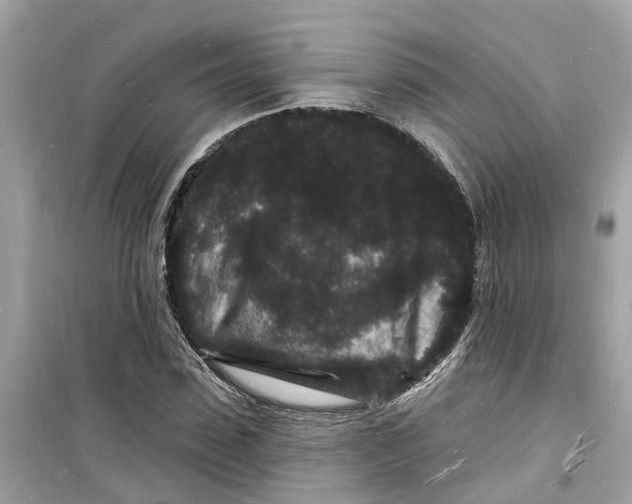 X0000098230923200805221707