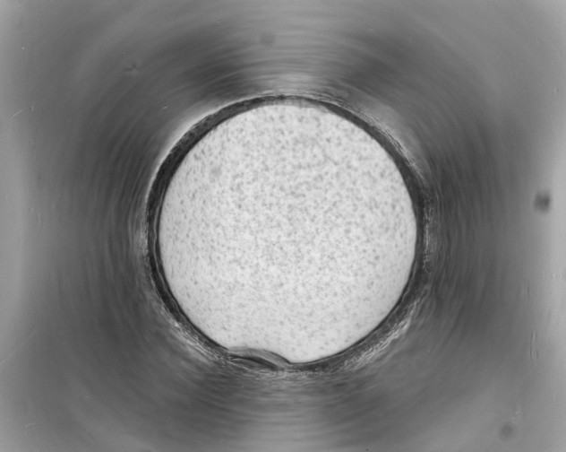 X0000098230924200805221707