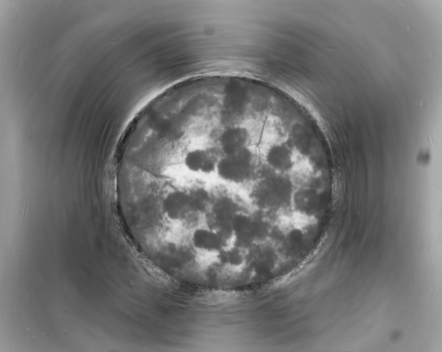 X0000098230925200805221707