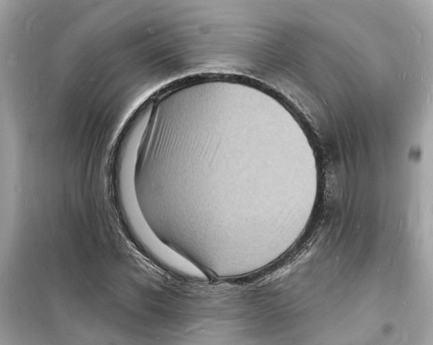 X0000098230926200805221707