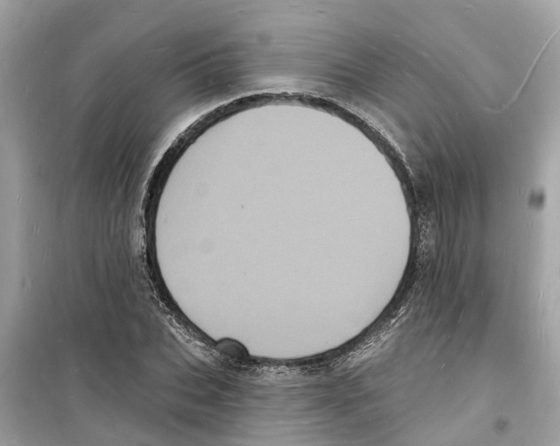 X0000098230927200805221707