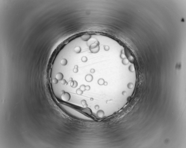 X0000098230928200805221707