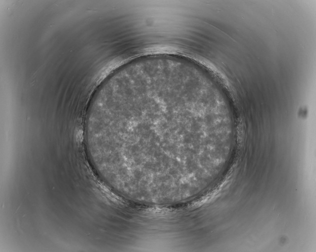 X0000098230929200805221707