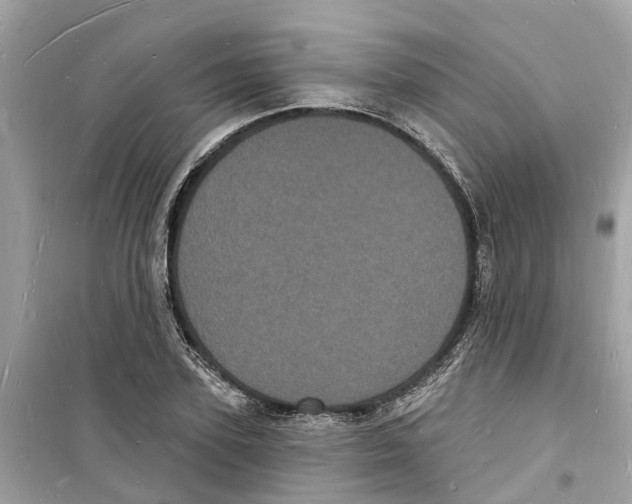 X0000098230931200805221707