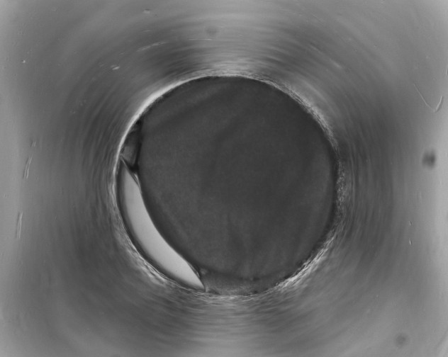 X0000098230932200805221708