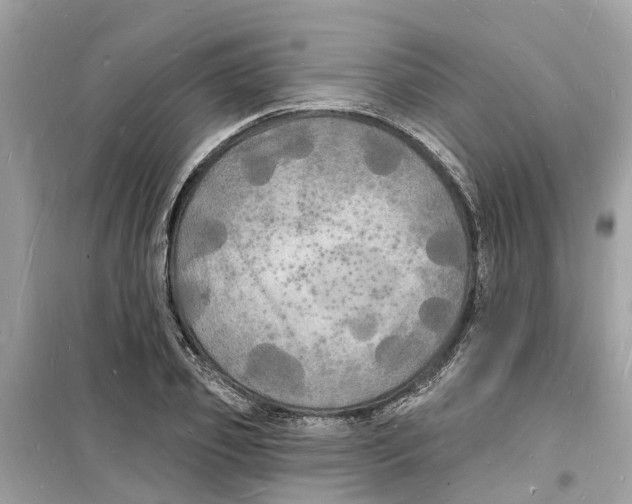 X0000098230933200805221708