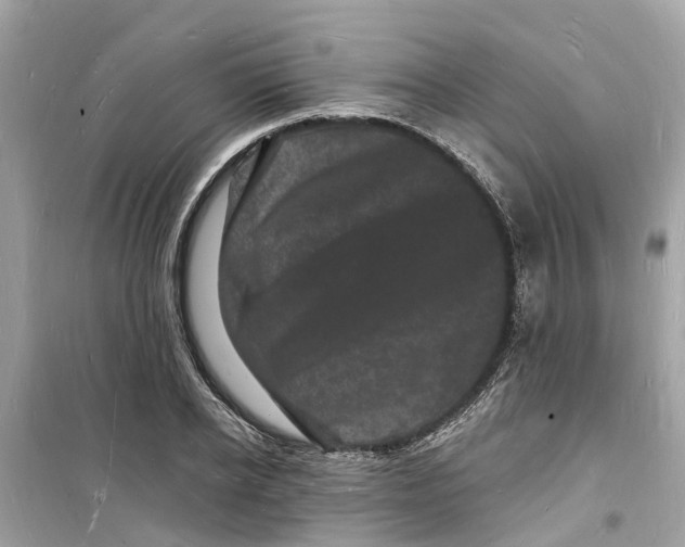 X0000098230934200805221708