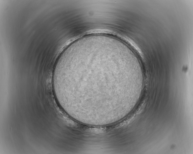 X0000098230937200805221708