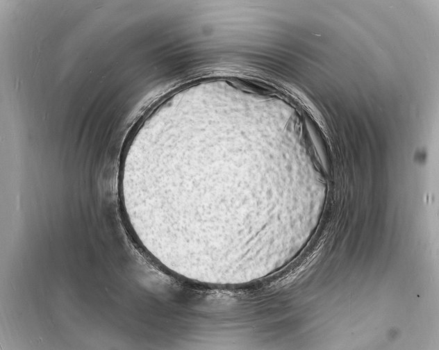 X0000098230938200805221708