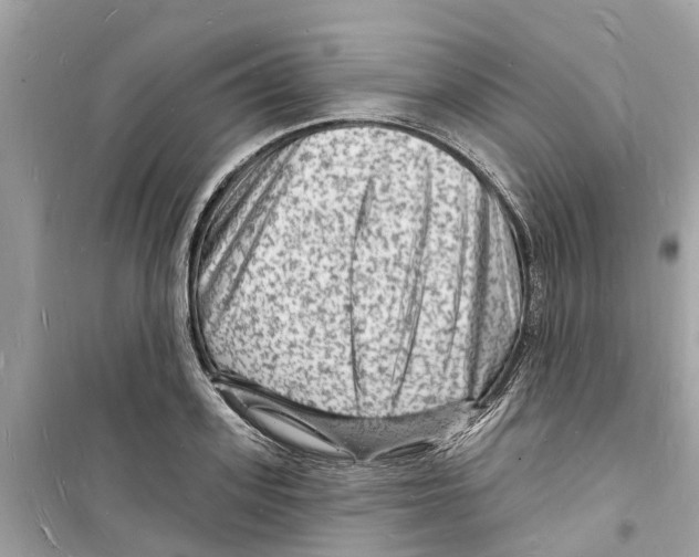 X0000098230939200805221708