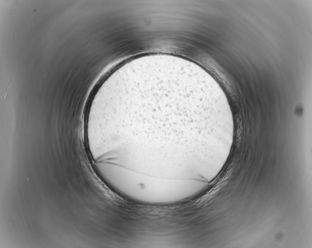 X0000098230940200805221708