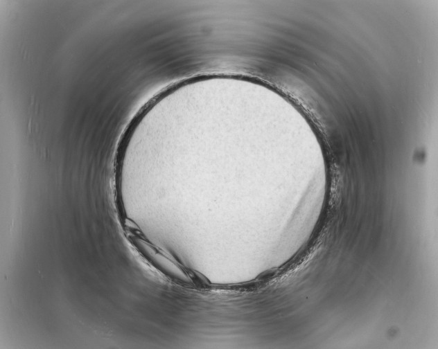 X0000098230942200805221708