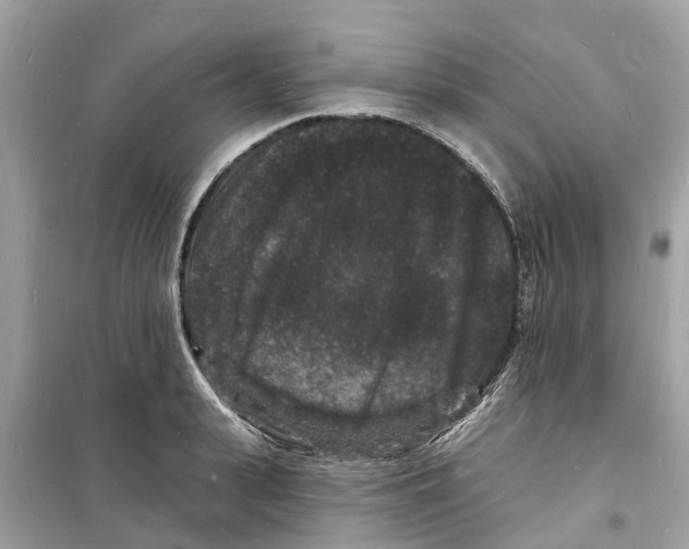 X0000098230943200805221708