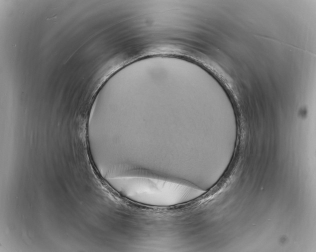 X0000098230945200805221708