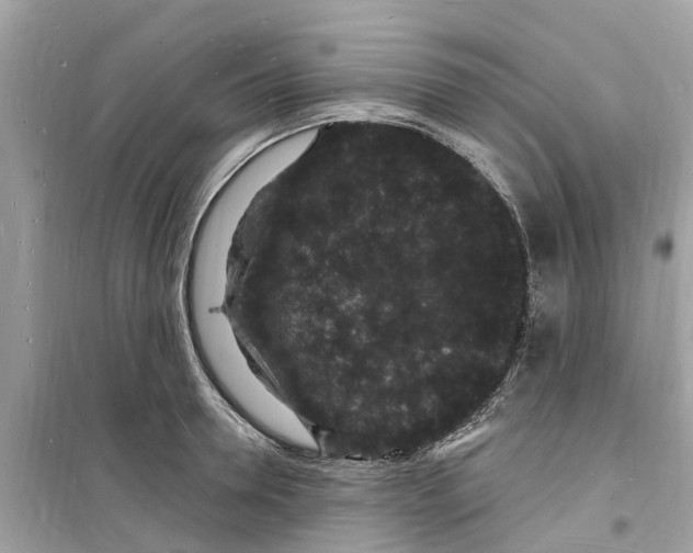 X0000098230946200805221708