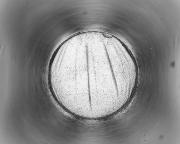 X0000098230949200805221708