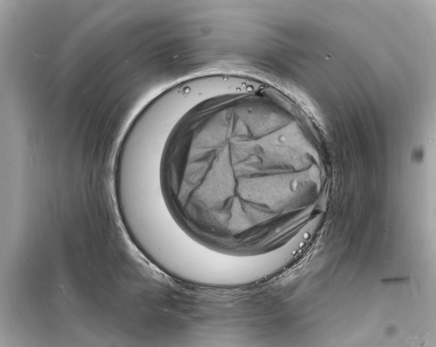 X0000098230950200805221708