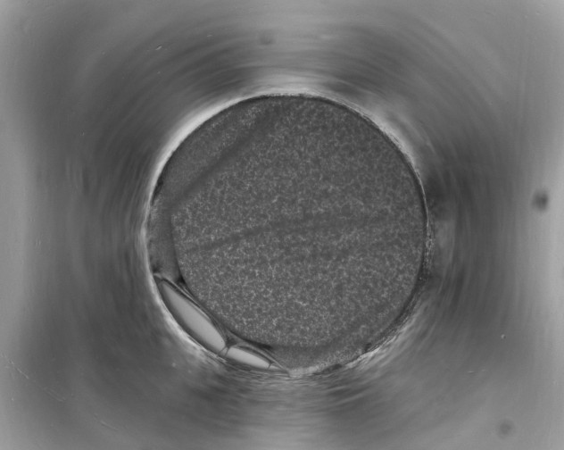 X0000098230951200805221708