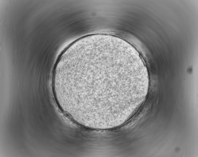 X0000098230952200805221708