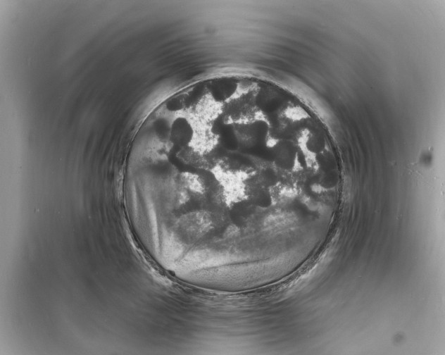 X0000098230953200805221708