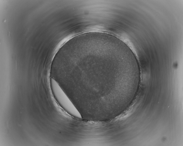 X0000098230954200805221708