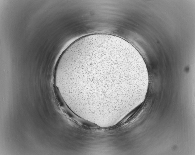 X0000098230956200805221708