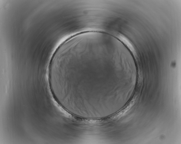 X0000098230958200805221708