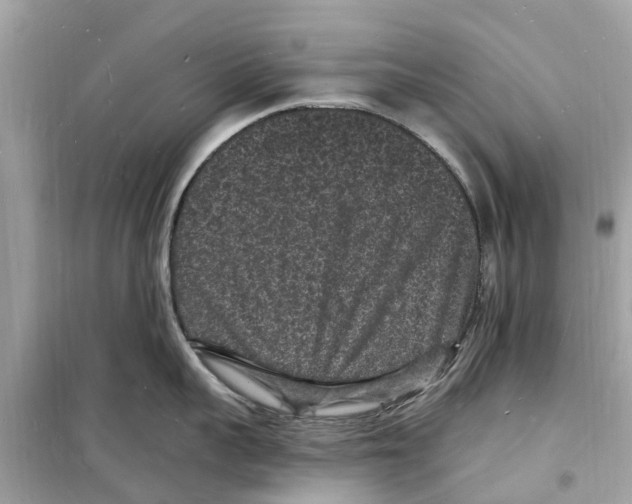 X0000098230959200805221708