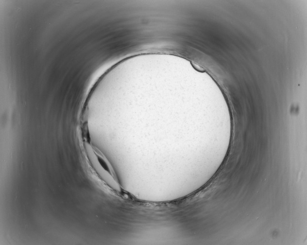 X0000098230960200805221708