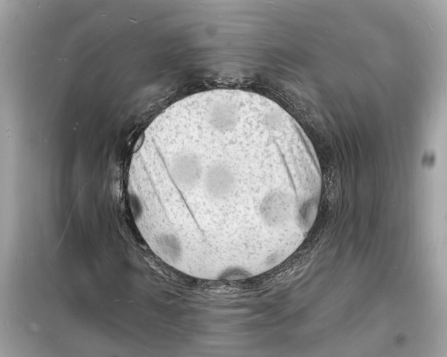 X0000098230962200805221707