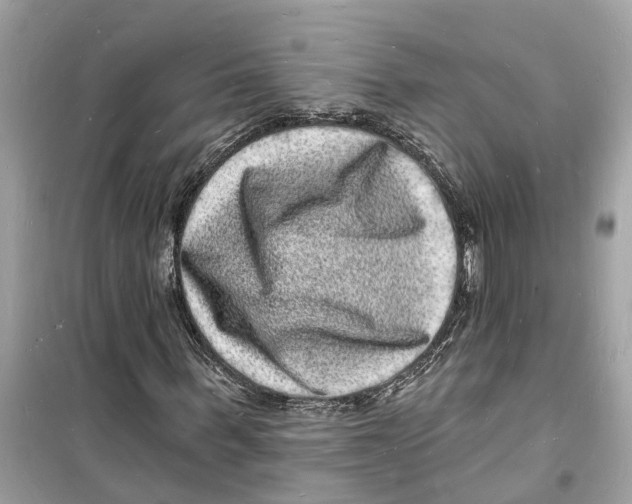 X0000098230963200805221707