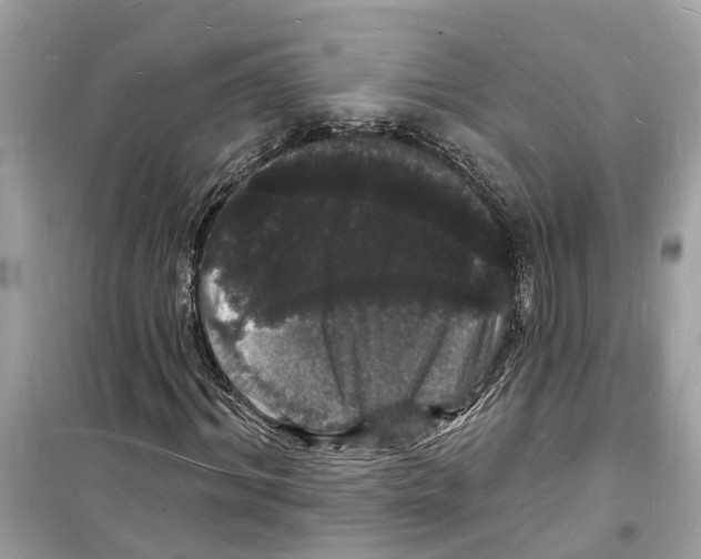 X0000098230964200805221707