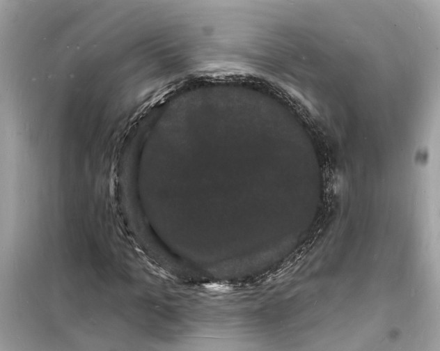 X0000098230965200805221707