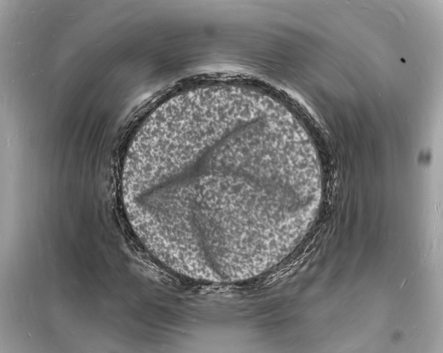 X0000098230967200805221707