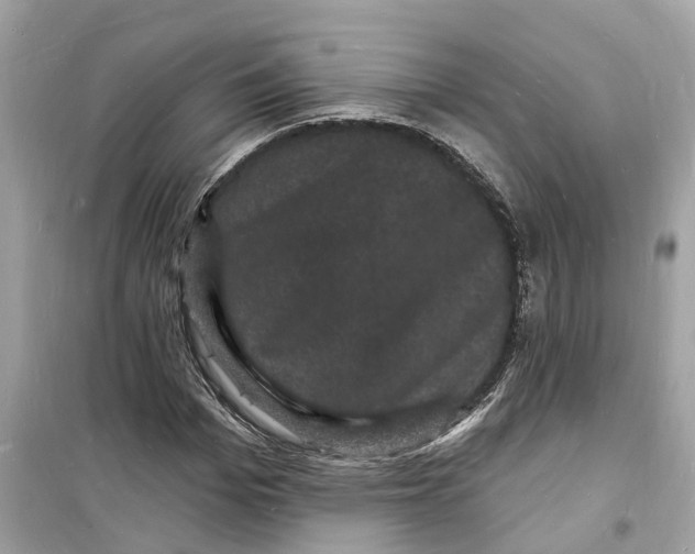 X0000098230969200805221707