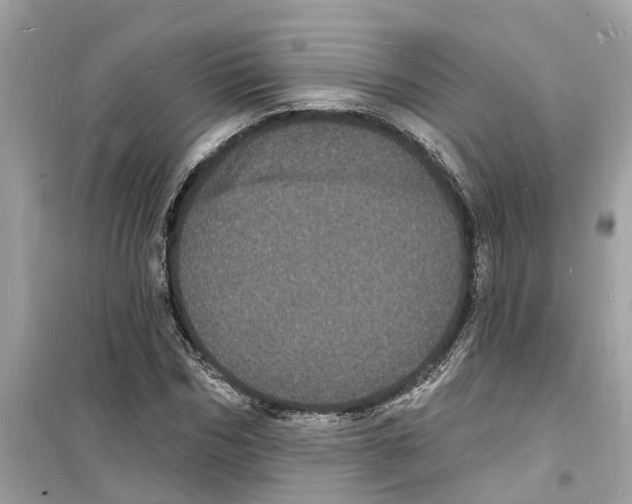 X0000098230970200805221707