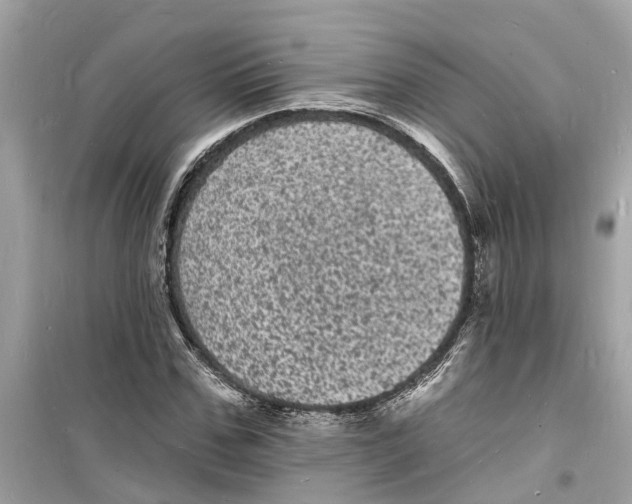 X0000098230971200805221707